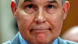Scott Pruitt's Office Is Drowning in Unfilled Records Requests